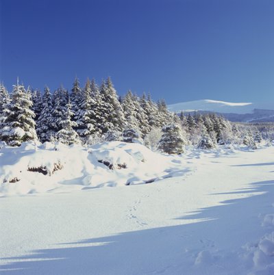 The Wicklow Mountains in Winter by Unbekannt Unbekannt